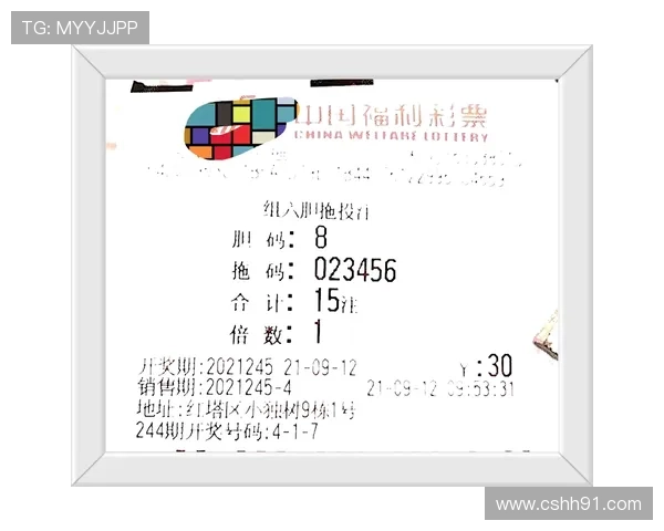 第62期开奖结果揭晓，号码245惊喜夺冠